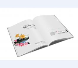 画册书刊